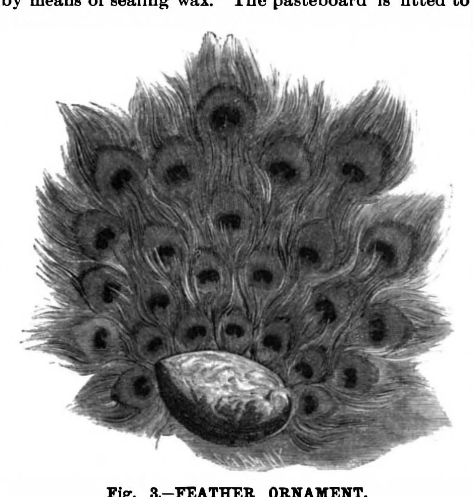 An illustration from Scientific American, Vol. 62, No. 25 (1890), 1890, leaf 10