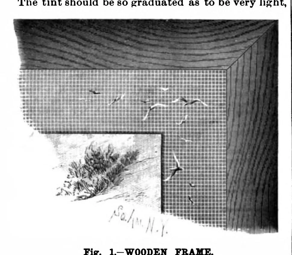An illustration from Scientific American, Vol. 62, No. 25 (1890), 1890, leaf 10