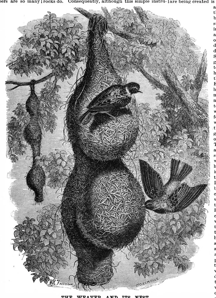 An illustration from Scientific American, Vol. 63, No. 1 (1890), 1890, leaf 9