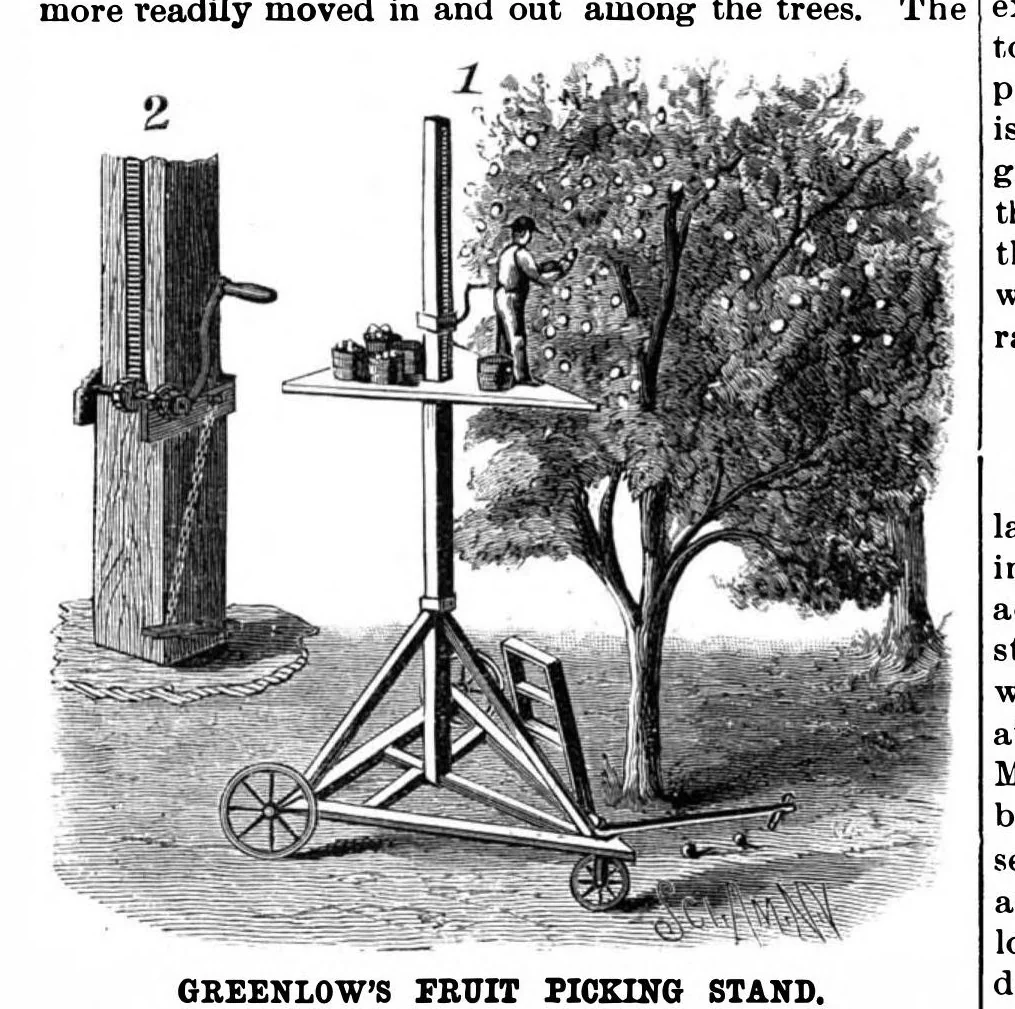 An illustration from Scientific American, Vol. 63, No. 2 (1890), 1890, leaf 3