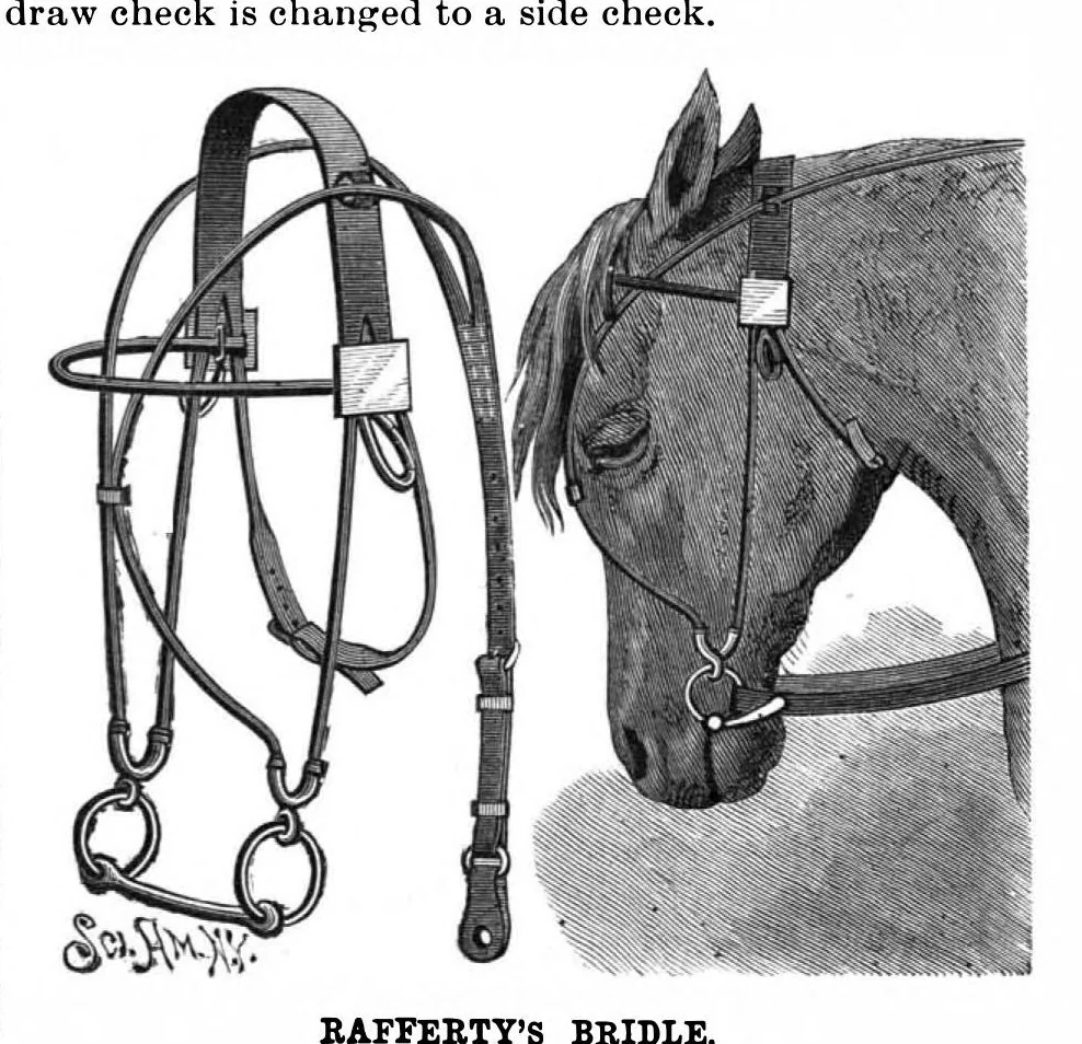 An illustration from Scientific American, Vol. 63, No. 3 (1890), 1890, leaf 4