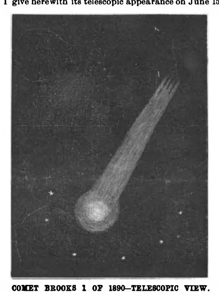 An illustration from Scientific American, Vol. 63, No. 5 (1890), 1890, leaf 6