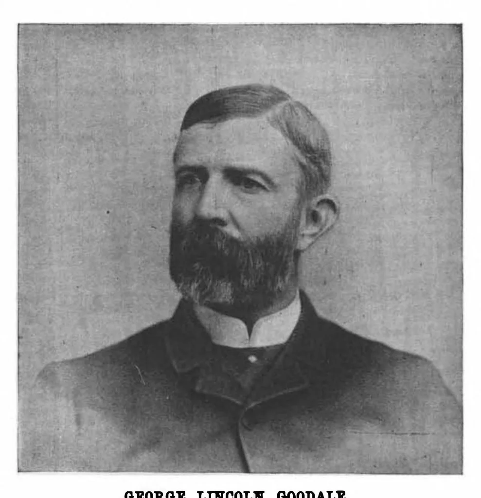 An illustration from Scientific American, Vol. 63, No. 6 (1890), 1890, leaf 7