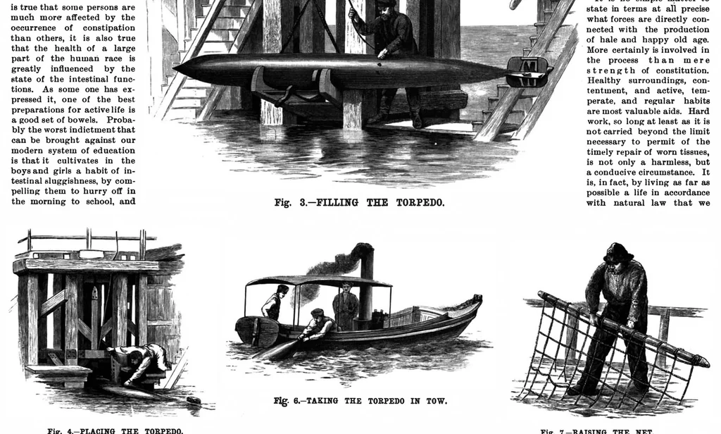 An illustration from Scientific American, Vol. 63, No. 7 (1890), 1890, leaf 8