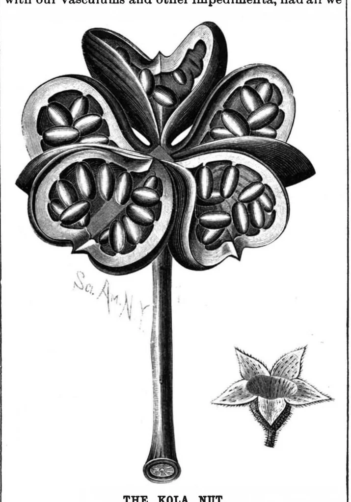 An illustration from Scientific American, Vol. 63, No. 11 (1890), 1890, leaf 8