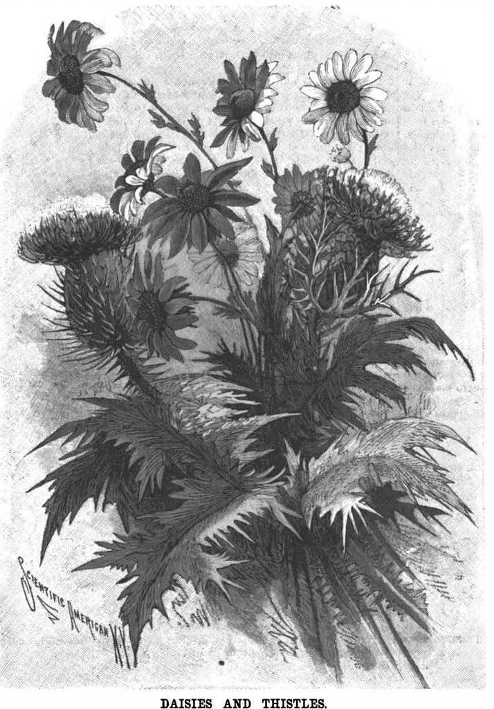 An illustration from Scientific American, Vol. 63, No. 12 (1890), 1890, leaf 8