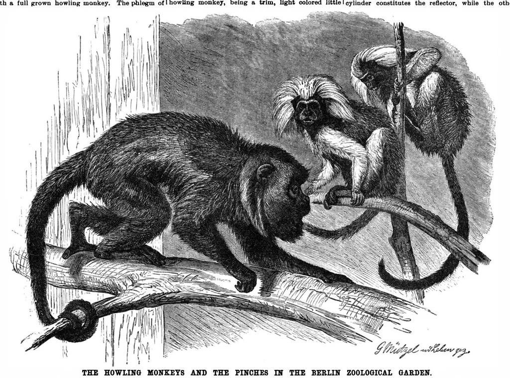 An illustration from Scientific American, Vol. 63, No. 16 (1890), 1890, leaf 7