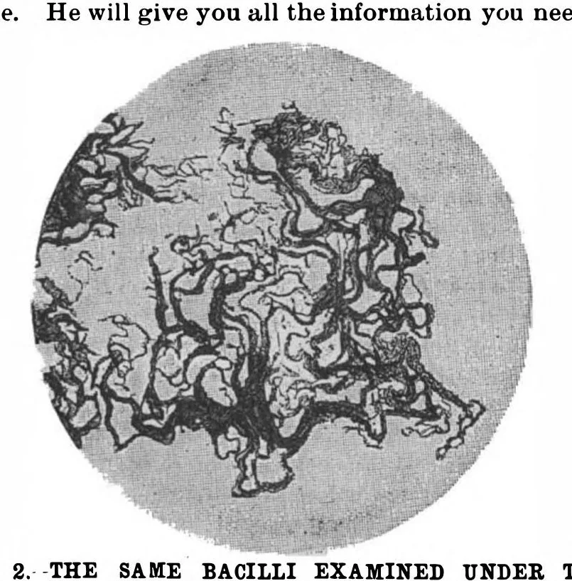 An illustration from Scientific American, Vol. 63, No. 23 (1890), 1890, leaf 7