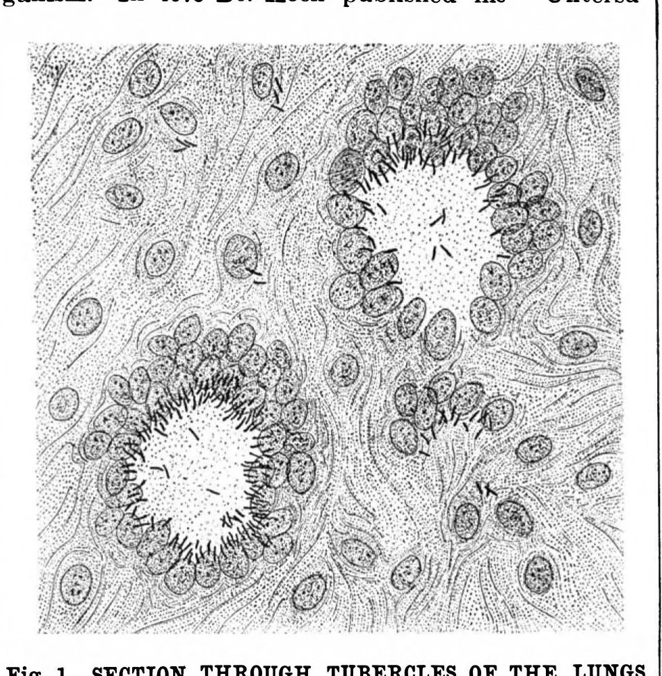 An illustration from Scientific American, Vol. 64, No. 1 (1891), 1891, leaf 6