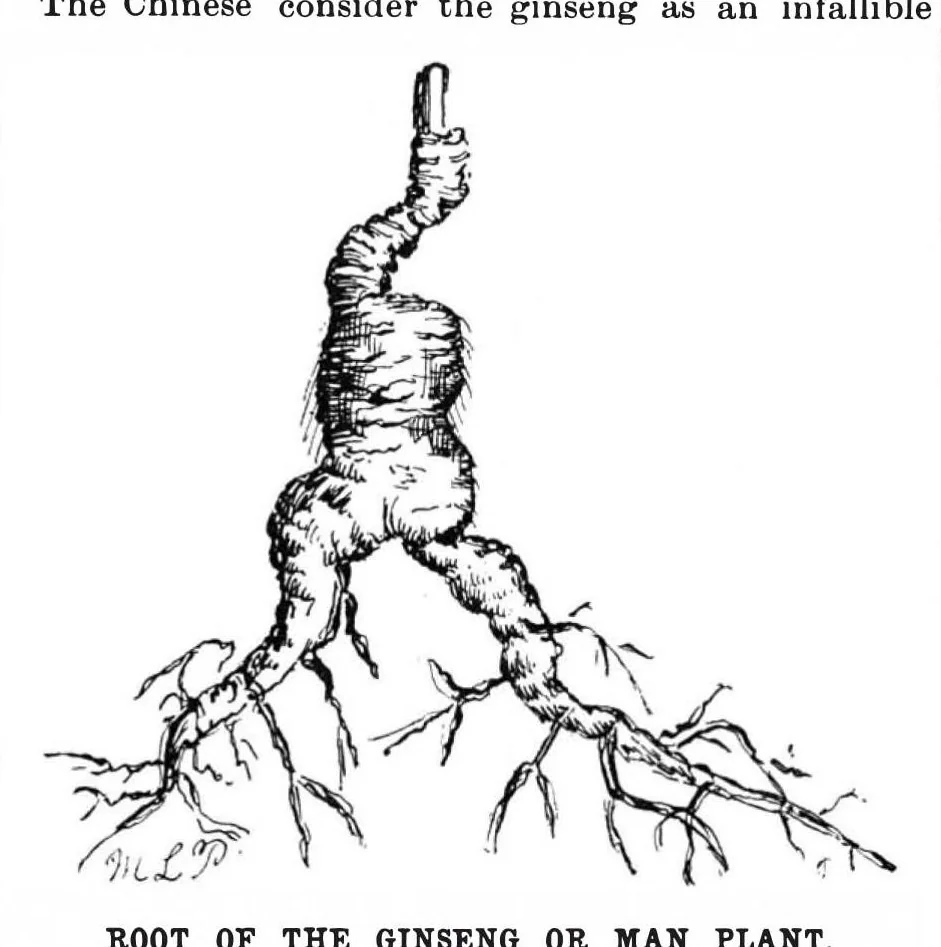 An illustration from Scientific American, Vol. 64, No. 2 (1891), 1891, leaf 4