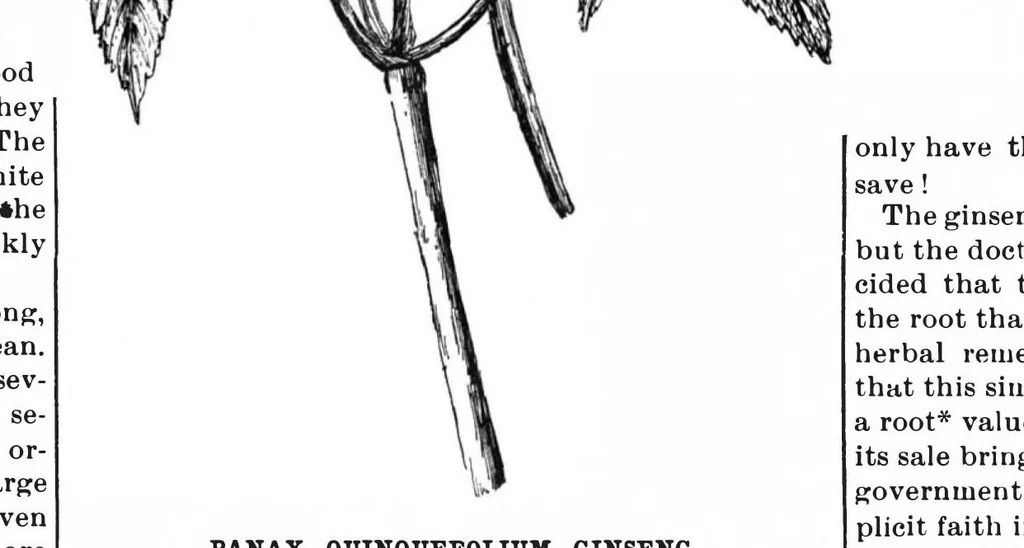 An illustration from Scientific American, Vol. 64, No. 2 (1891), 1891, leaf 4