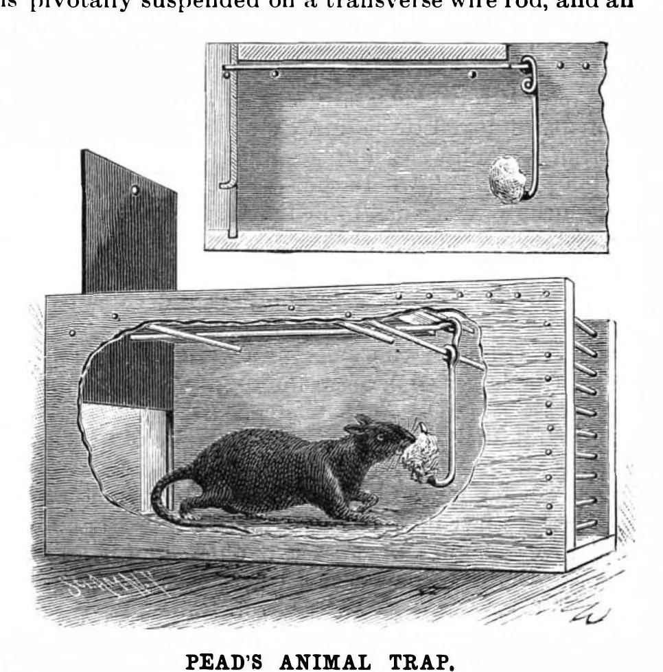 An illustration from Scientific American, Vol. 64, No. 3 (1891), 1891, leaf 4