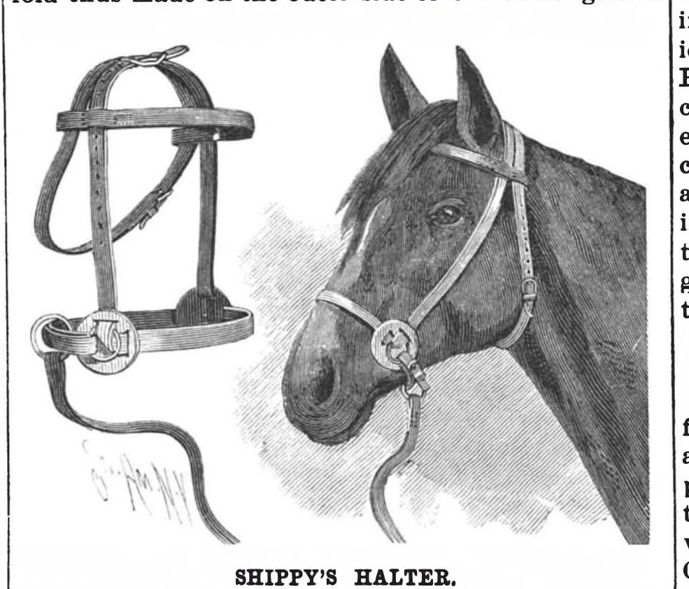 An illustration from Scientific American, Vol. 64, No. 6 (1891), 1891, leaf 5