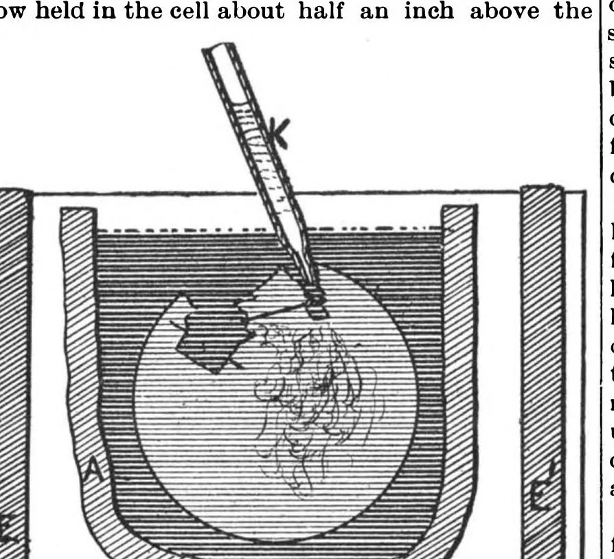 An illustration from Scientific American, Vol. 64, No. 11 (1891), 1891, leaf 6