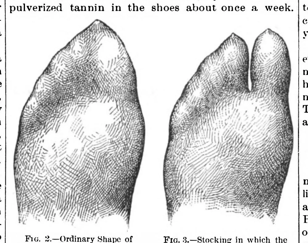 An illustration from Scientific American, Vol. 64, No. 12 (1891), 1891, leaf 10