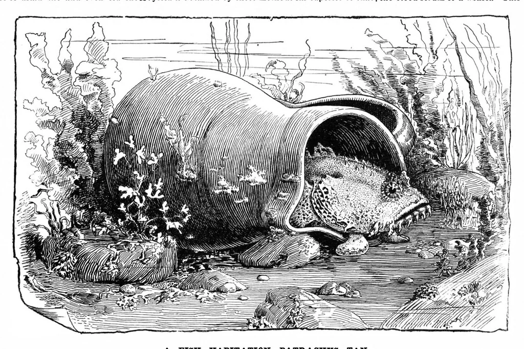 An illustration from Scientific American, Vol. 64, No. 13 (1891), 1891, leaf 8