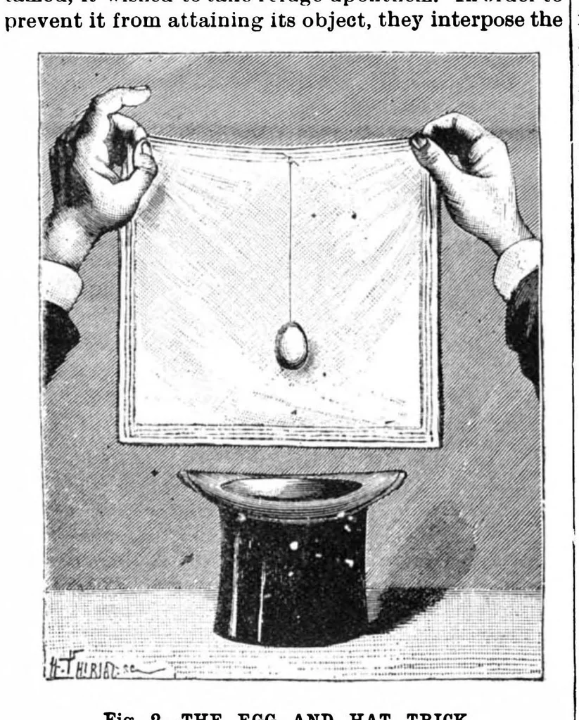 An illustration from Scientific American, Vol. 64, No. 18 (1891), 1891, leaf 8