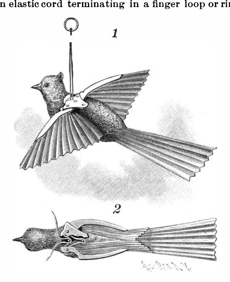 An illustration from Scientific American, Vol. 64, No. 19 (1891), 1891, leaf 4