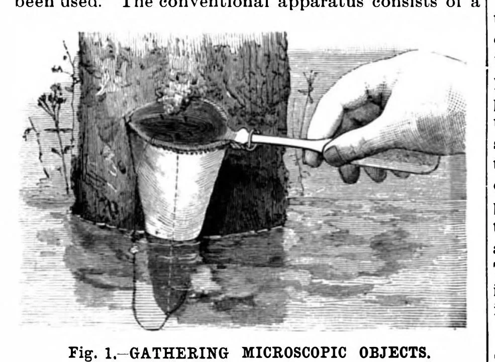 An illustration from Scientific American, Vol. 64, No. 25 (1891), 1891, leaf 8