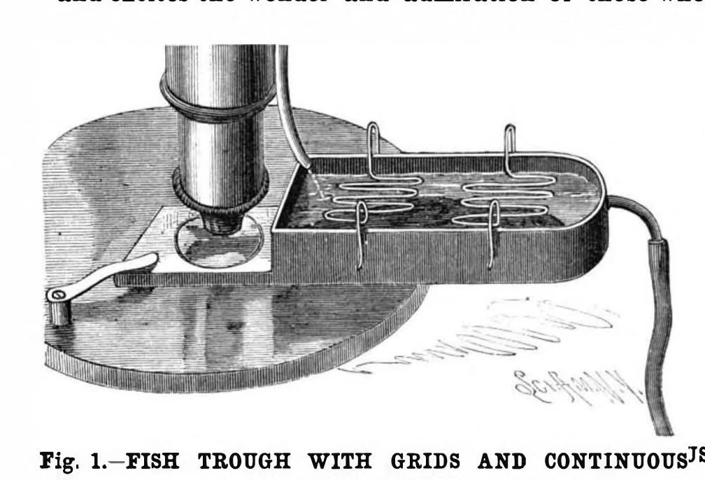 An illustration from Scientific American, Vol. 65, No. 1 (1891), 1891, leaf 5