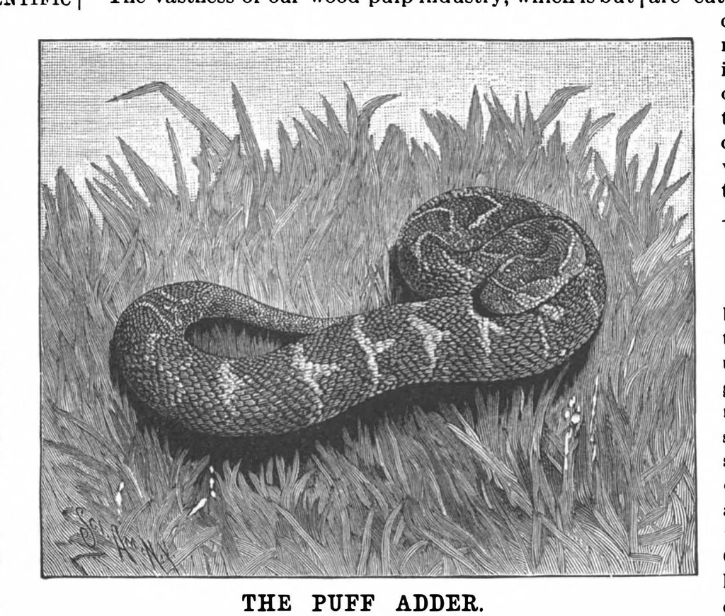 An illustration from Scientific American, Vol. 65, No. 8 (1891), 1891, leaf 10