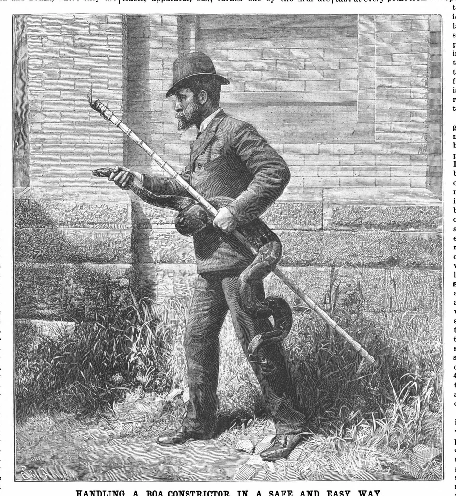 An illustration from Scientific American, Vol. 65, No. 9 (1891), 1891, leaf 10