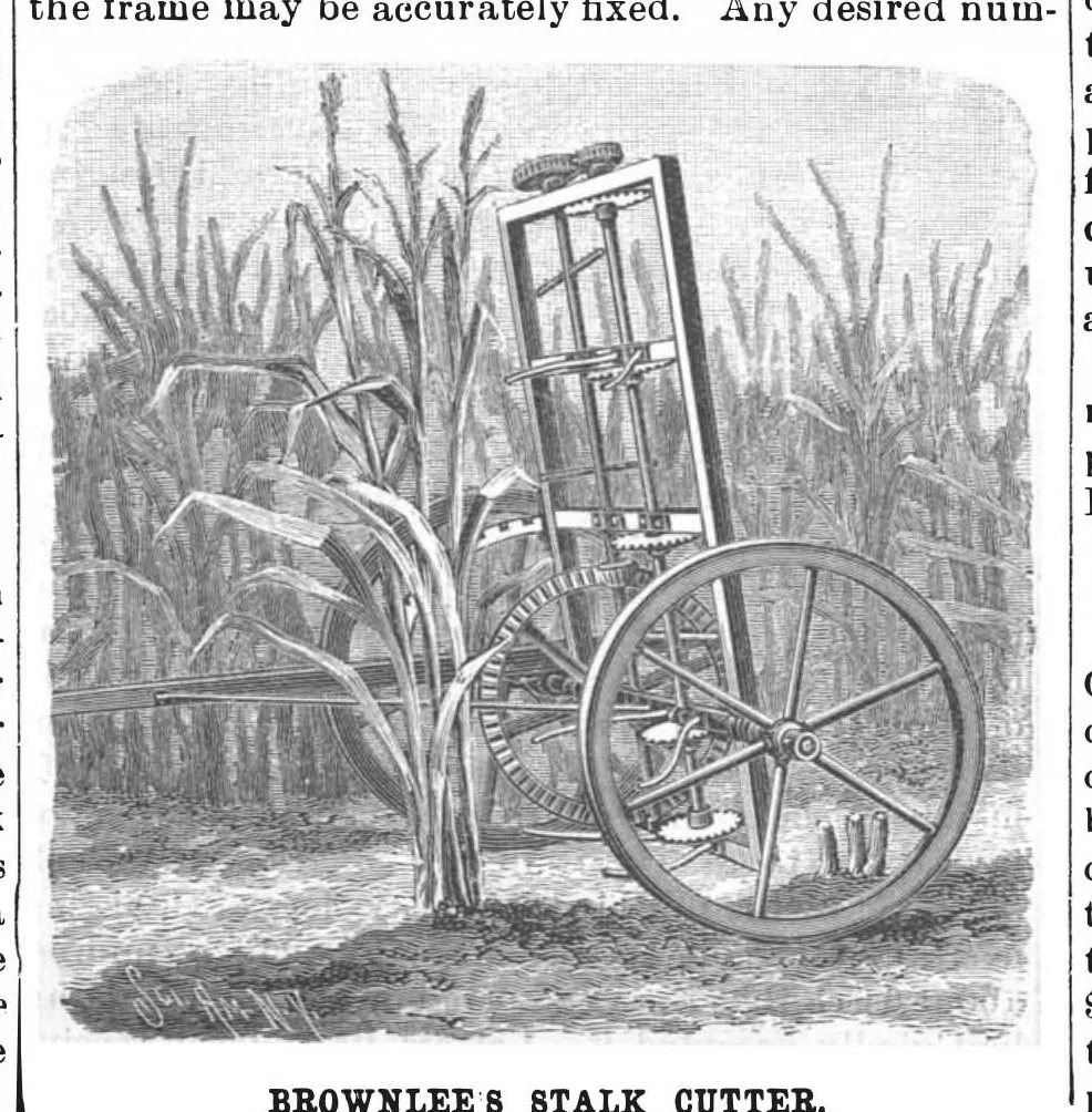 An illustration from Scientific American, Vol. 65, No. 20 (1891), 1891, leaf 3