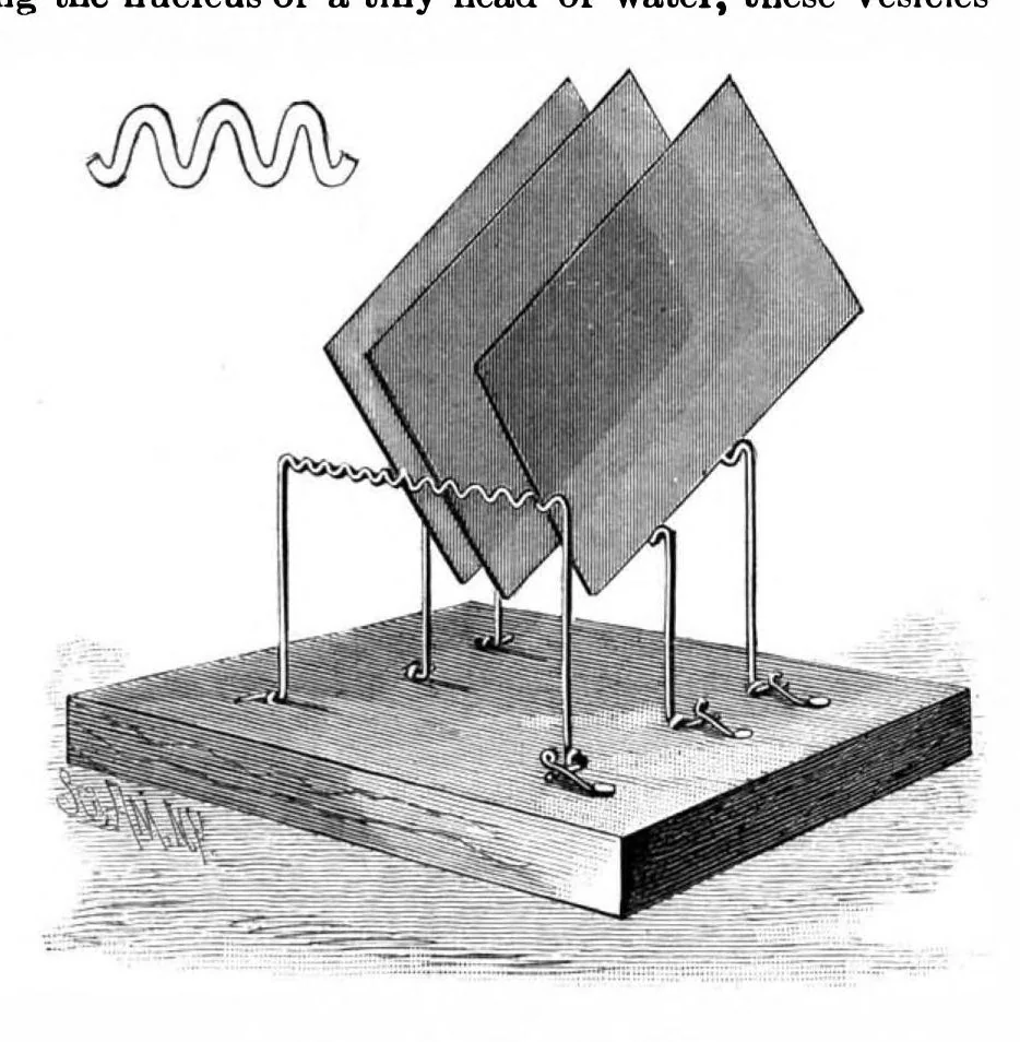 An illustration from Scientific American, Vol. 65, No. 21 (1891), 1891, leaf 10