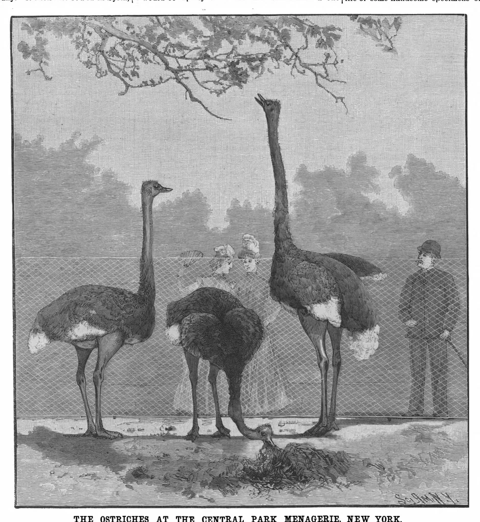 An illustration from Scientific American, Vol. 65, No. 23 (1891), 1891, leaf 8