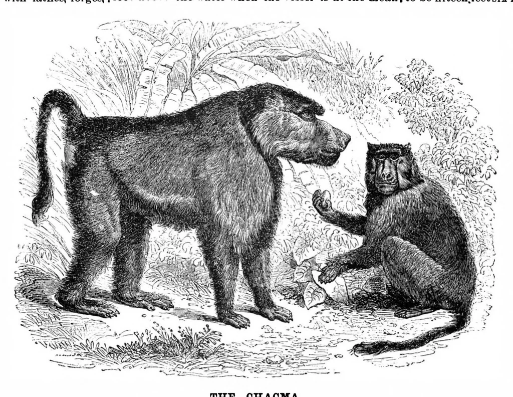An illustration from Scientific American, Vol. 65, No. 24 (1891), 1891, leaf 4