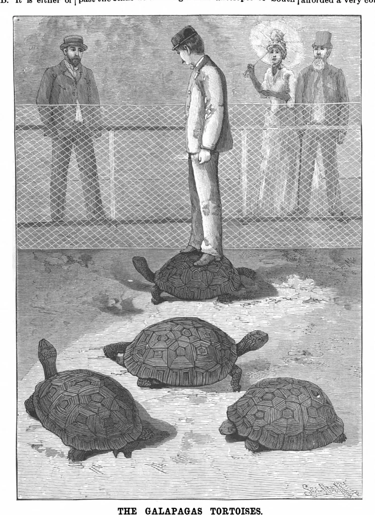 An illustration from Scientific American, Vol. 65, No. 24 (1891), 1891, leaf 8
