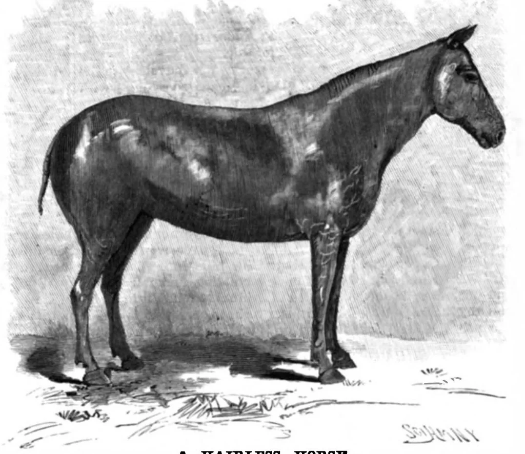An illustration from Scientific American, Vol. 66, No. 3 (1892), 1892, leaf 7