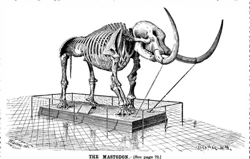 An illustration from Scientific American, Vol. 66, No. 5 (1892), 1892, leaf 8