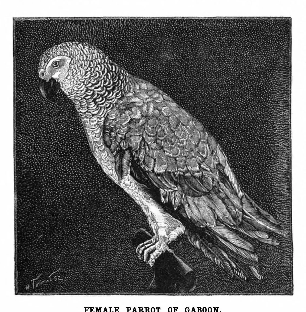 An illustration from Scientific American, Vol. 66, No. 26 (1892), 1892, leaf 3