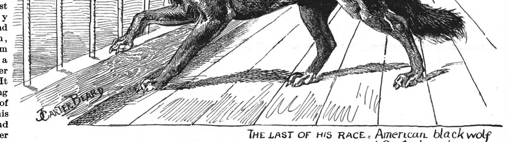 An illustration from Scientific American, Vol. 67, No. 3 (1892), 1892, leaf 10