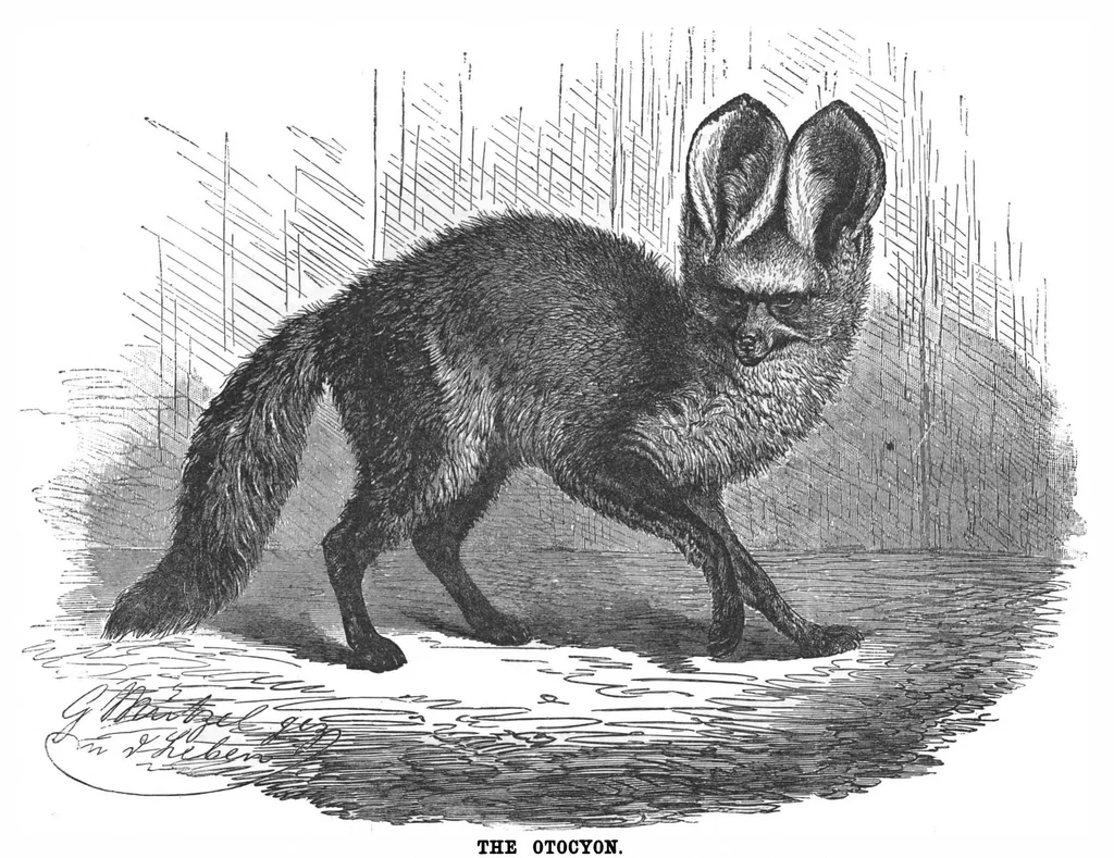 An illustration from Scientific American, Vol. 67, No. 11 (1892), 1892, leaf 10