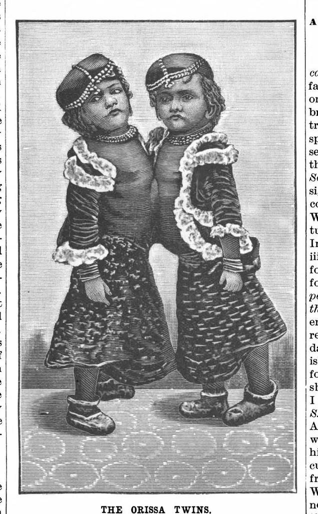 An illustration from Scientific American, Vol. 67, No. 18 (1892), 1892, leaf 4