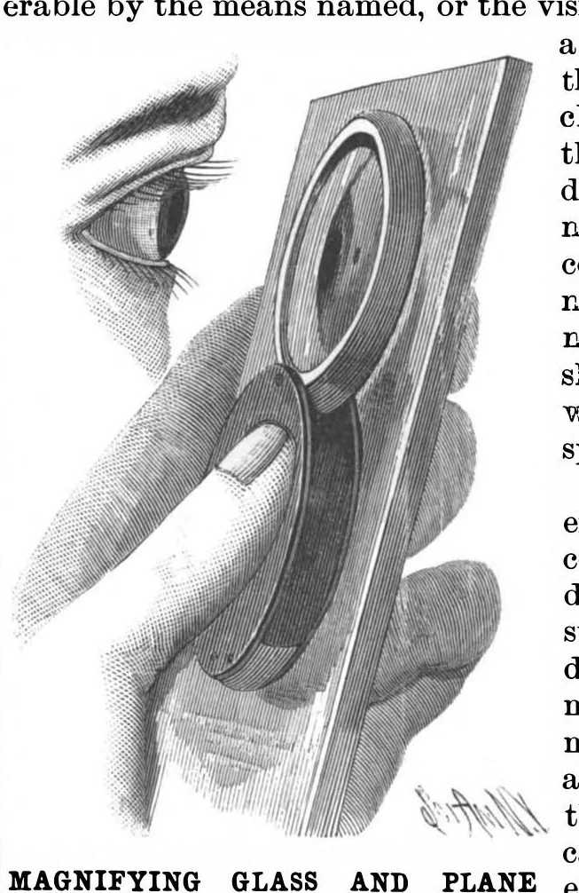 An illustration from Scientific American, Vol. 67, No. 18 (1892), 1892, leaf 5