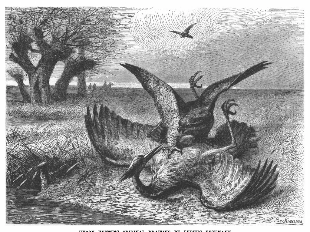 An illustration from Scientific American, Vol. 67, No. 19 (1892), 1892, leaf 7
