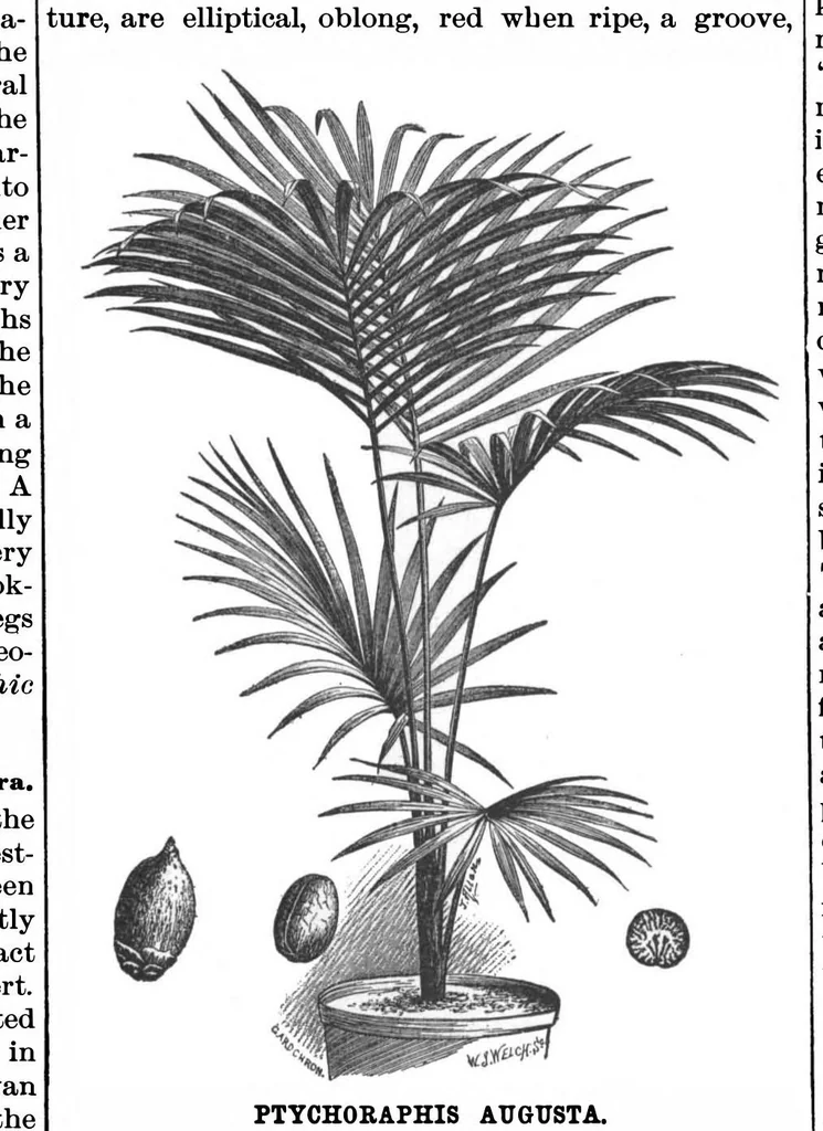 An illustration from Scientific American, Vol. 67, No. 20 (1892), 1892, leaf 5