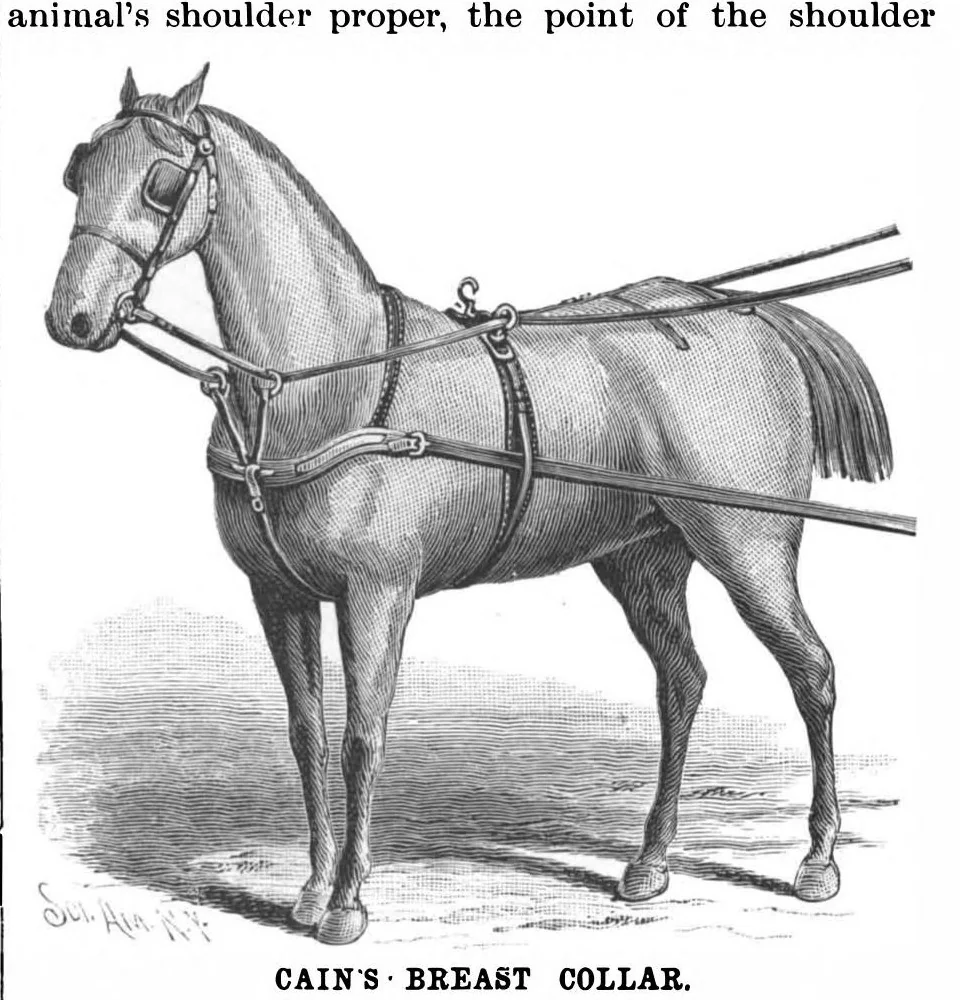 An illustration from Scientific American, Vol. 67, No. 25 (1892), 1892, leaf 3