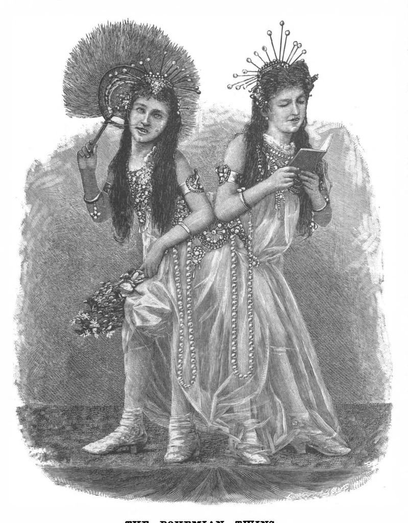 An illustration from Scientific American, Vol. 67, No. 26 (1892), 1892, leaf 4
