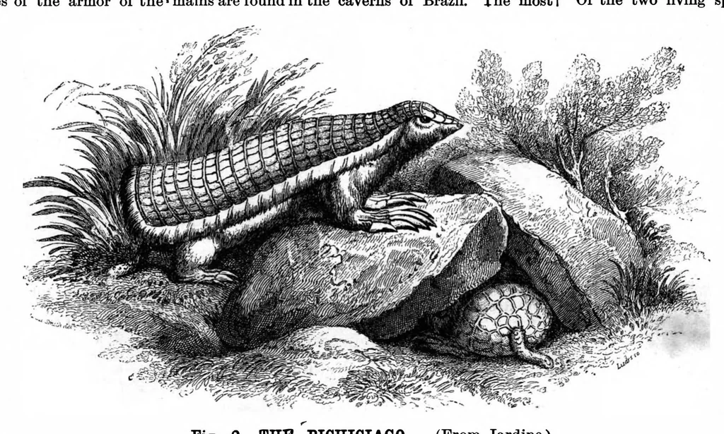 An illustration from Scientific American, Vol. 68, No. 5 (1893), 1893, leaf 10