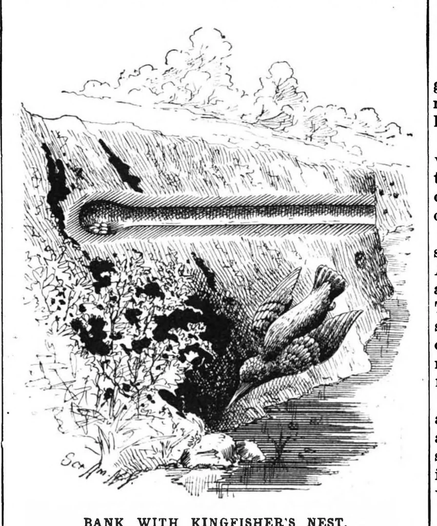 An illustration from Scientific American, Vol. 68, No. 14 (1893), 1893, leaf 9