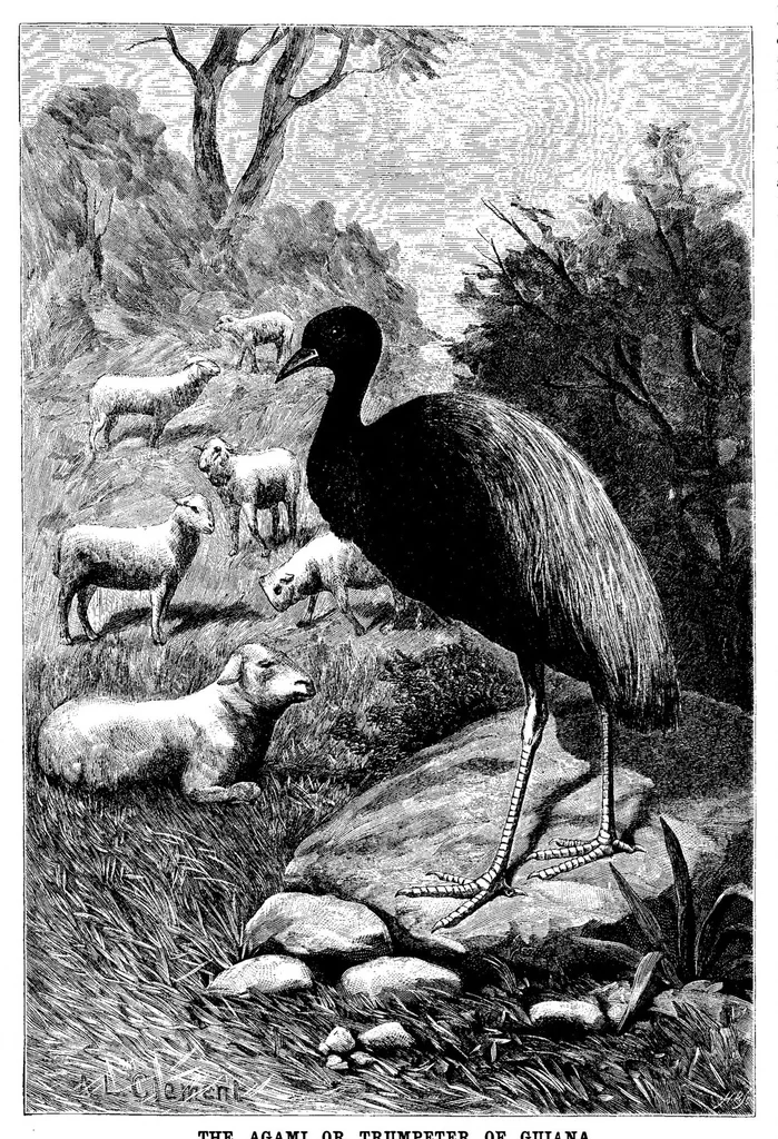 An illustration from Scientific American, Vol. 68, No. 20 (1893), 1893, leaf 9