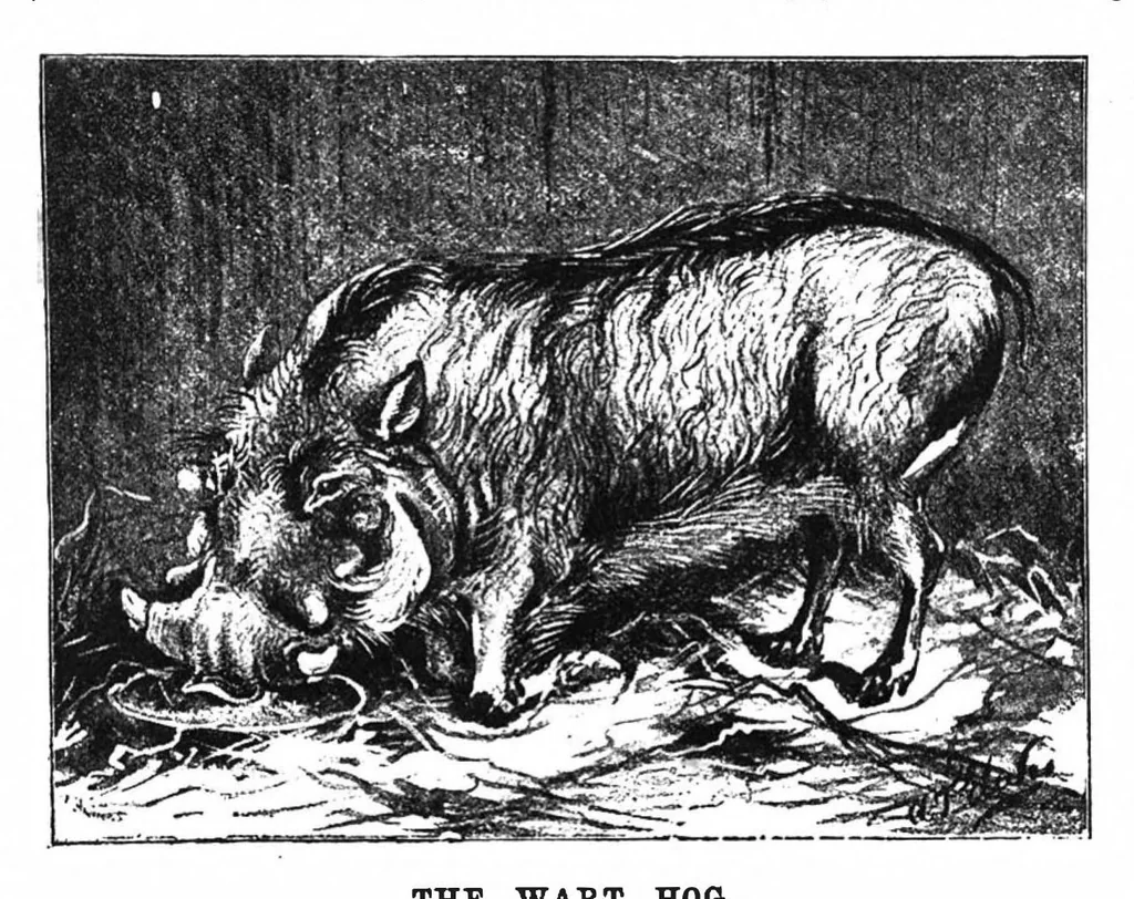 An illustration from Scientific American, Vol. 69, No. 2 (1893), 1893, leaf 10