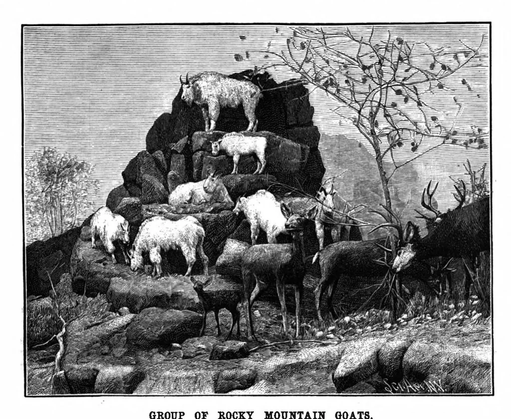 An illustration from Scientific American, Vol. 69, No. 3 (1893), 1893, leaf 8