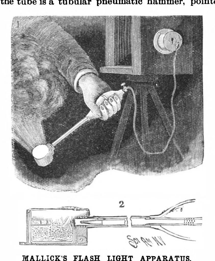 An illustration from Scientific American, Vol. 69, No. 7 (1893), 1893, leaf 4