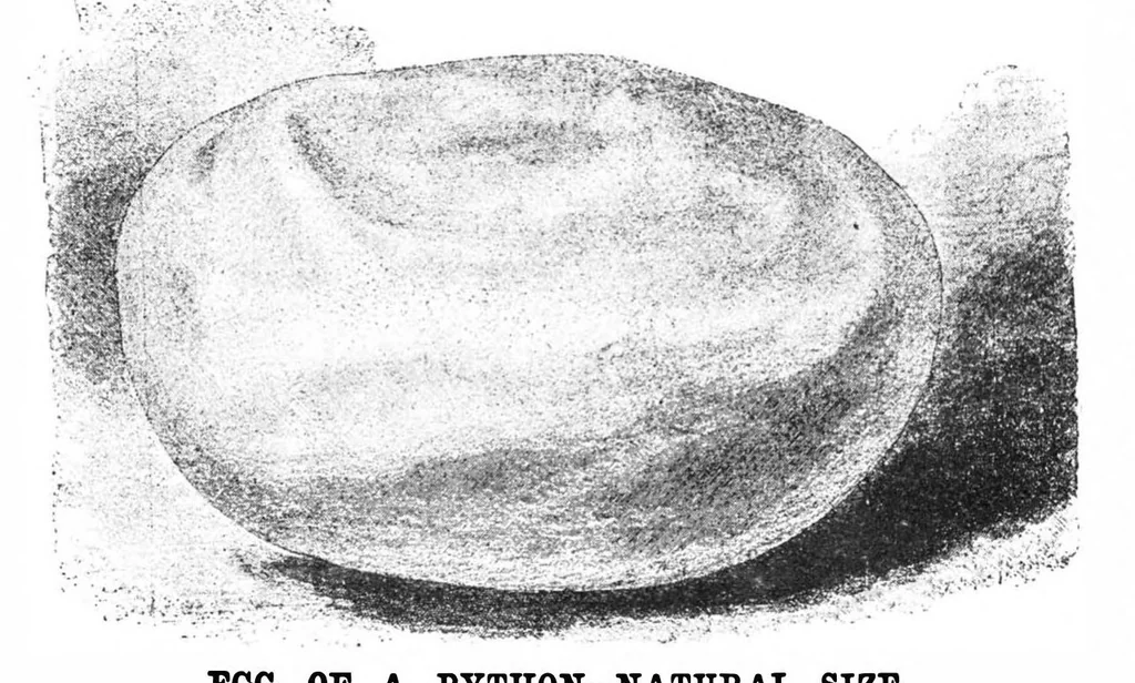 An illustration from Scientific American, Vol. 69, No. 7 (1893), 1893, leaf 8