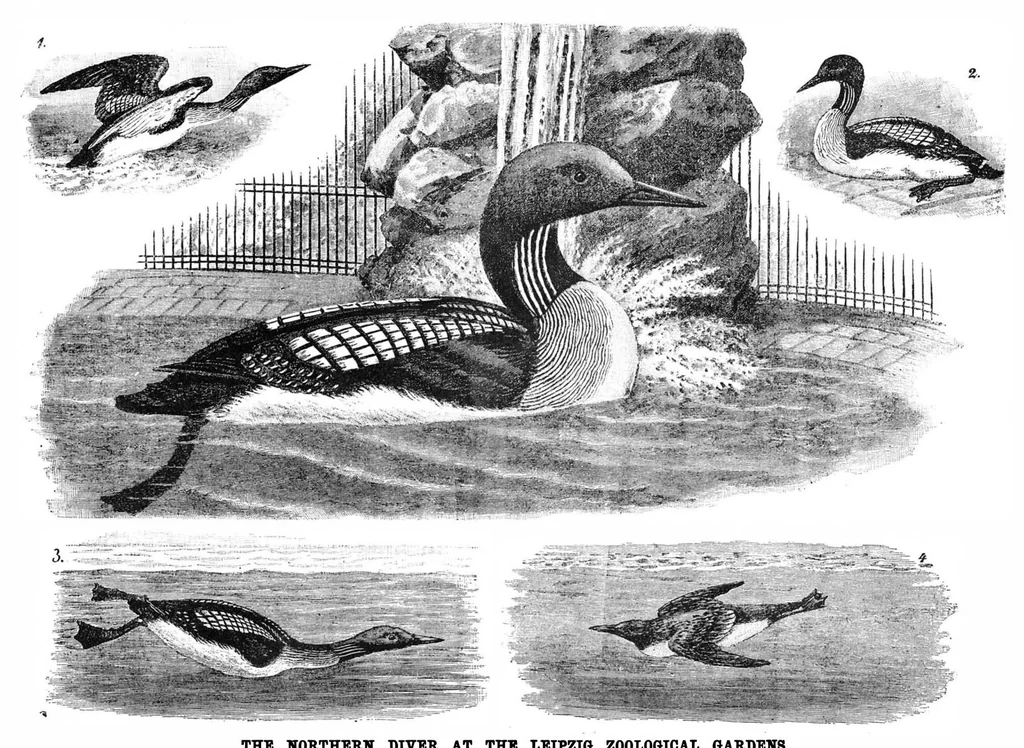 An illustration from Scientific American, Vol. 69, No. 12 (1893), 1893, leaf 7